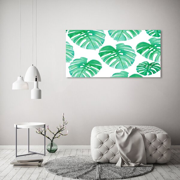 Foto obraz na plátně Monstera oc-108948322