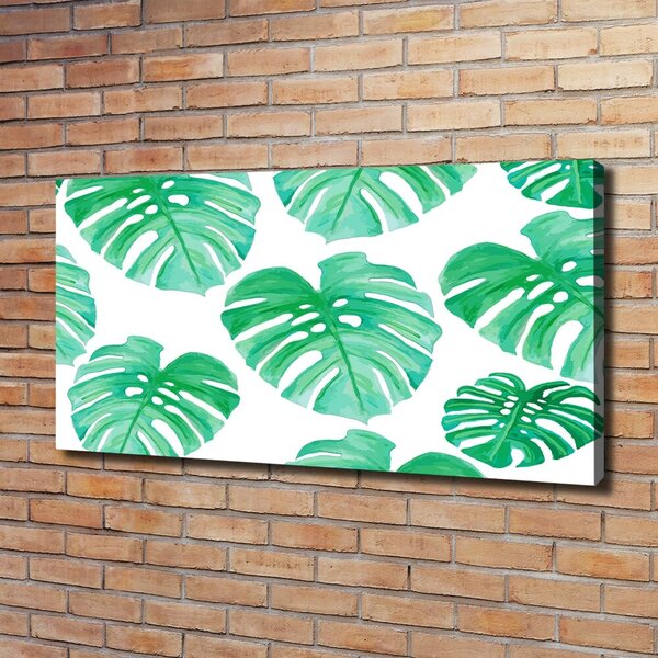Foto obraz na plátně Monstera oc-108948322