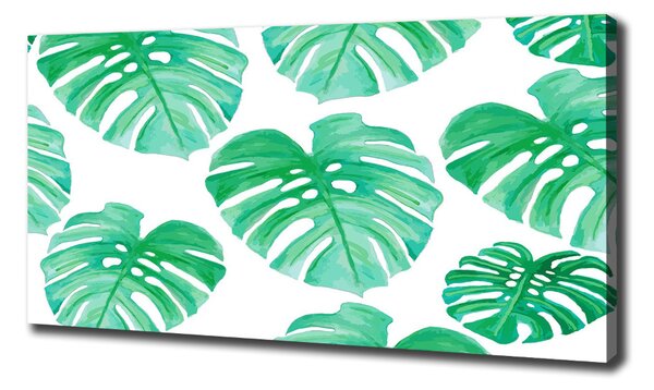 Foto obraz na plátně Monstera oc-108948322