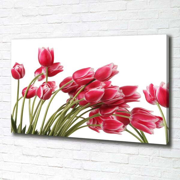 Foto obraz na plátně Červené tulipány oc-109710799