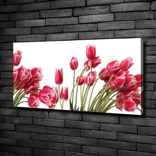 Foto obraz na plátně Červené tulipány oc-109710799