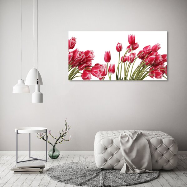 Fotoobraz na skle Červené tulipány osh-109710799