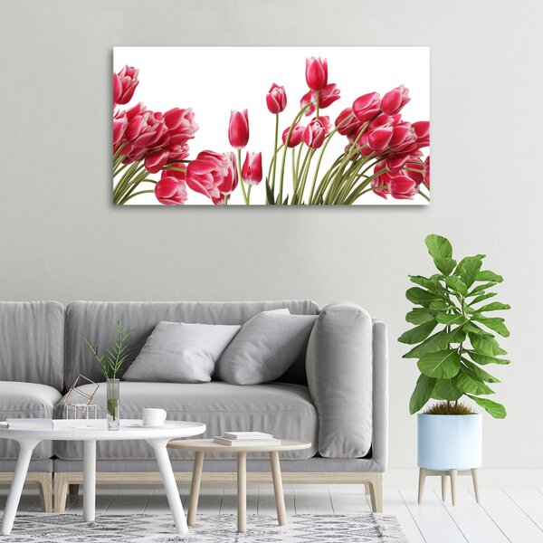 Foto obraz na plátně Červené tulipány oc-109710799