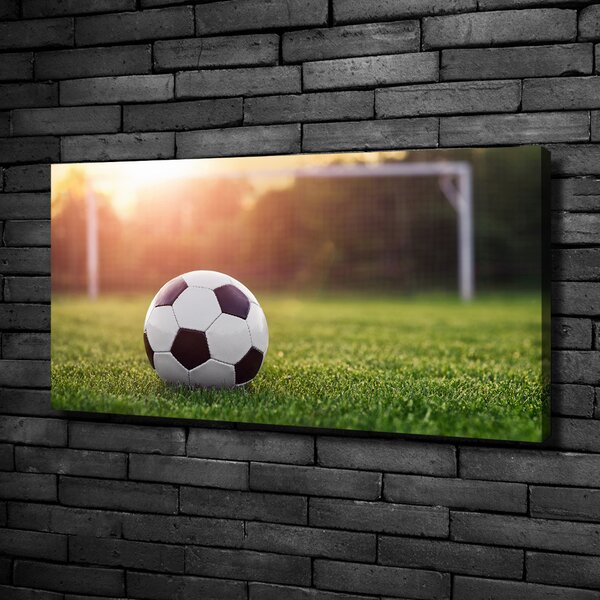 Foto obraz na plátně do obýváku Fotbal oc-110116373