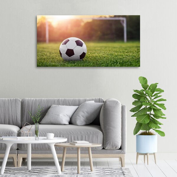 Foto obraz na plátně do obýváku Fotbal oc-110116373