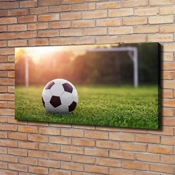 Foto obraz na plátně do obýváku Fotbal oc-110116373