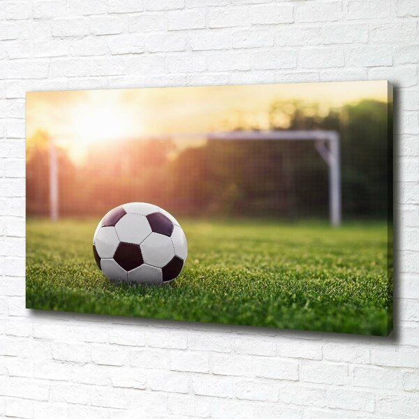 Foto obraz na plátně do obýváku Fotbal oc-110116373