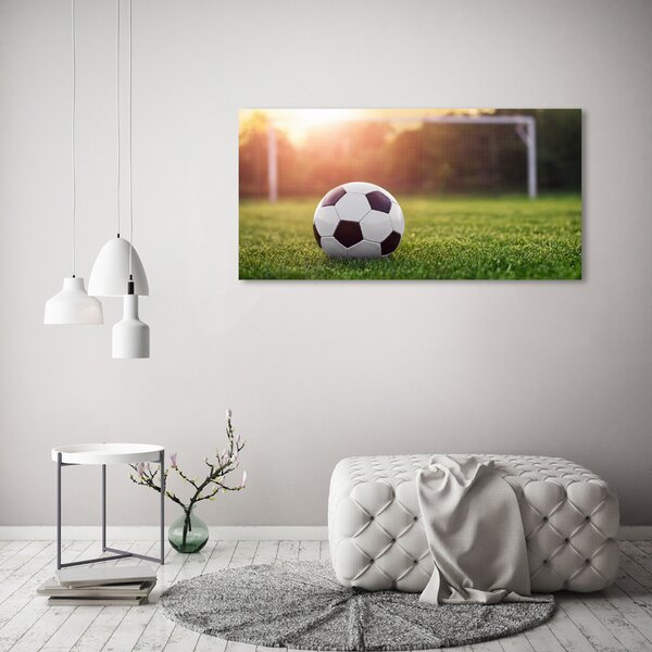 Foto-obraz fotografie na skle Fotbal osh-110116373