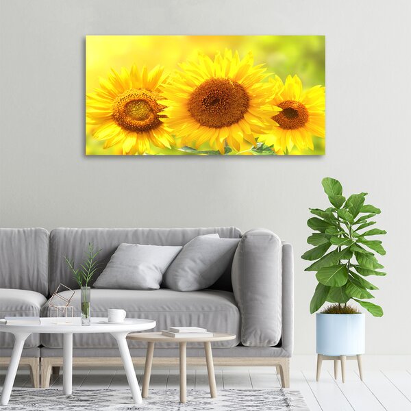 Moderní fotoobraz canvas na rámu Slunečníky oc-110835200