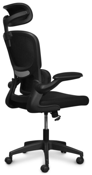 CONNECT IT COC-2500-BK - Kancelářská židle ForHealth DeltaPro černá