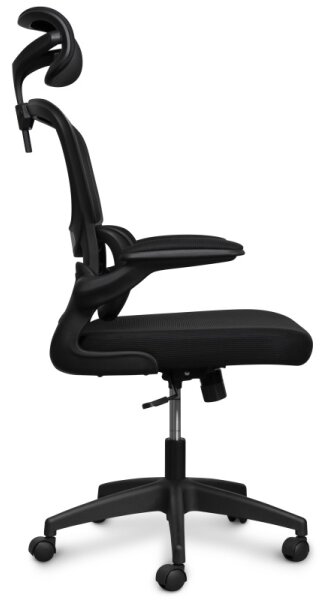 CONNECT IT COC-2500-BK - Kancelářská židle ForHealth DeltaPro černá