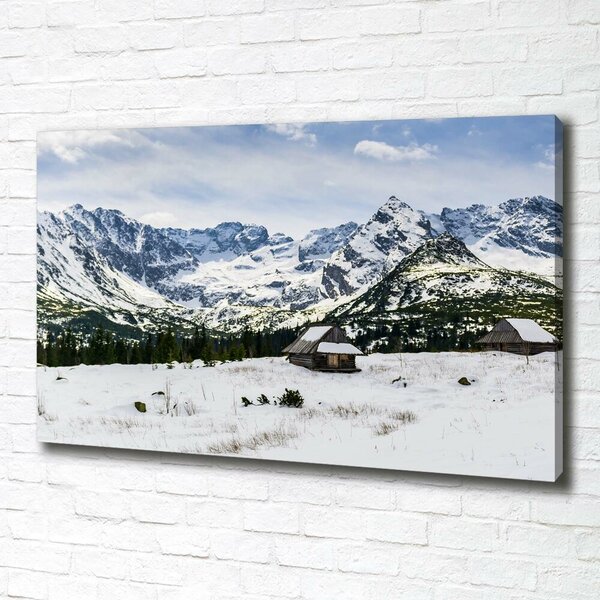 Foto obraz canvas Západní Tatry oc-111249964