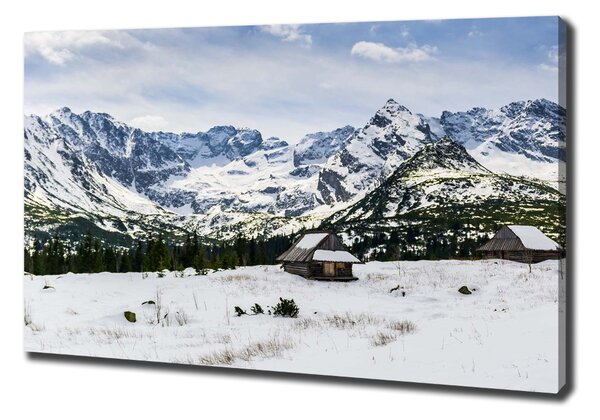 Foto obraz canvas Západní Tatry oc-111249964