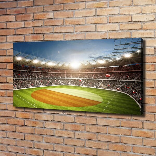 Foto obraz canvas Stadion Polsko oc-111485532