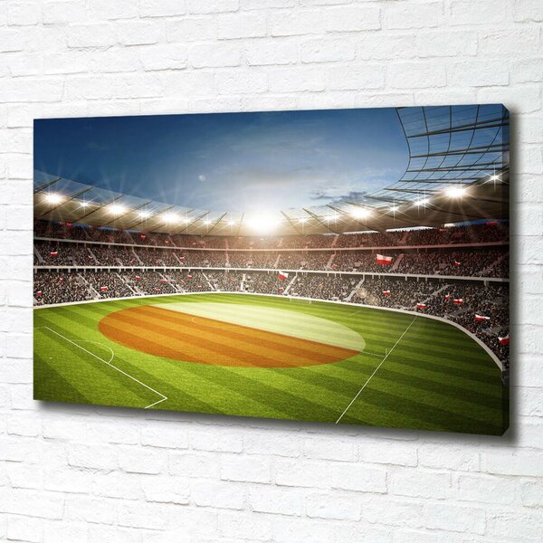 Foto obraz canvas Stadion Polsko oc-111485532