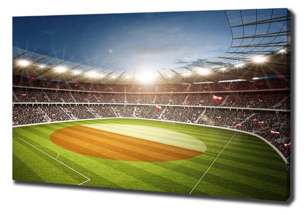 Foto obraz canvas Stadion Polsko oc-111485532