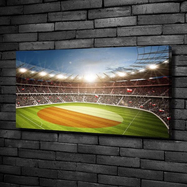 Foto obraz canvas Stadion Polsko oc-111485532