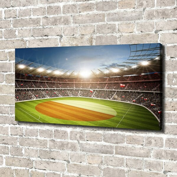Foto obraz canvas Stadion Polsko oc-111485532