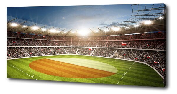 Foto obraz canvas Stadion Polsko oc-111485532