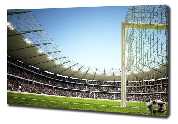 Foto obraz na plátně Stadion Francie oc-111693284