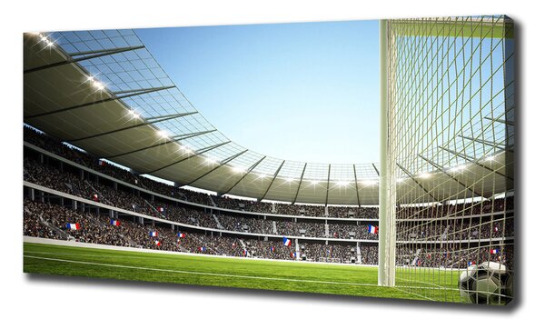 Foto obraz na plátně Stadion Francie oc-111693284
