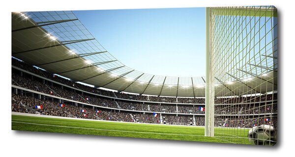 Foto obraz na plátně Stadion Francie oc-111693284