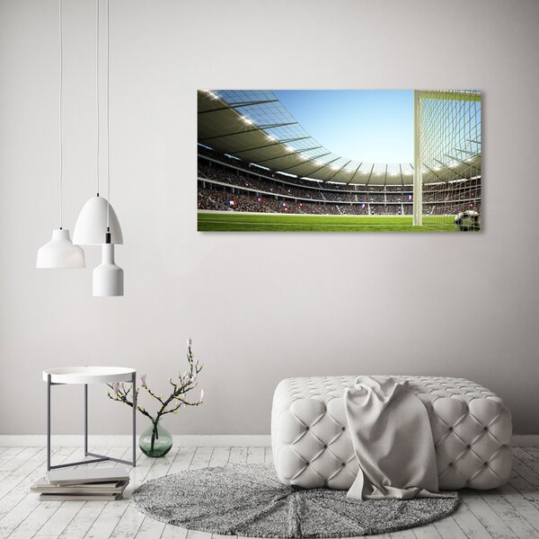 Foto obraz na plátně Stadion Francie oc-111693284