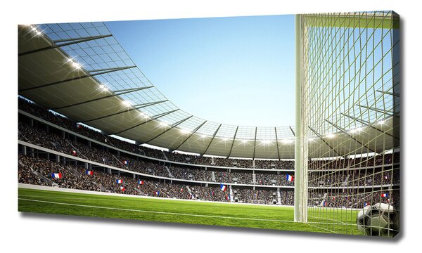 Foto obraz na plátně Stadion Francie oc-111693284