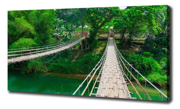 Foto obraz na plátně Most nad řekou oc-112462621