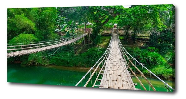 Foto obraz na plátně Most nad řekou oc-112462621