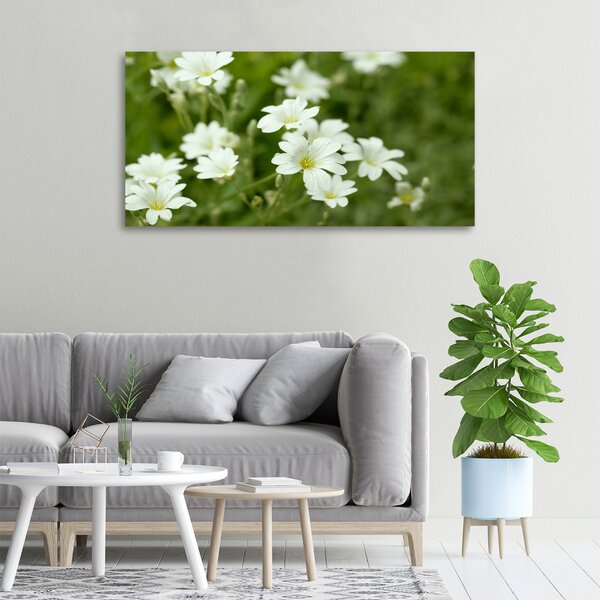 Foto obraz canvas Jarní květiny oc-112767766