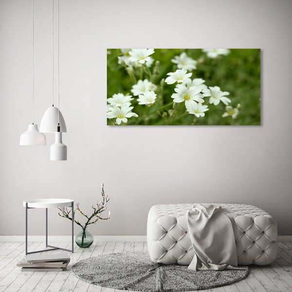 Foto obraz canvas Jarní květiny oc-112767766