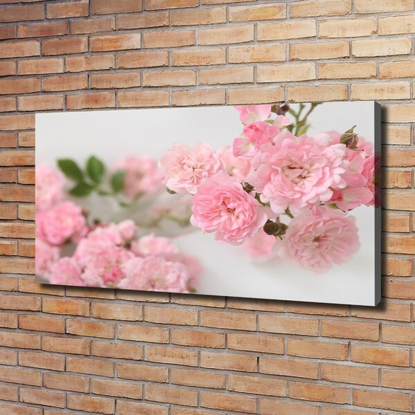 Moderní fotoobraz canvas na rámu Divoké růže oc-113333755