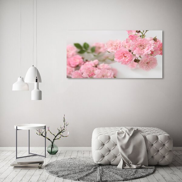 Moderní skleněný obraz z fotografie Divoké růže osh-113333755