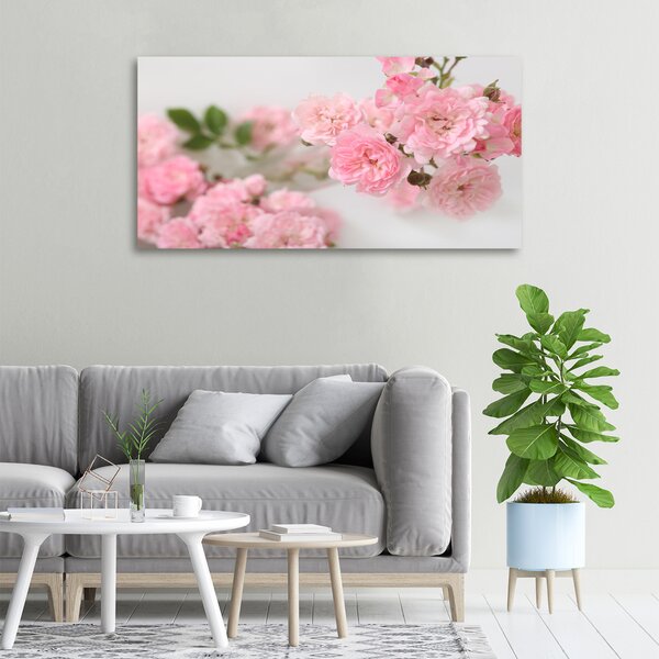 Moderní fotoobraz canvas na rámu Divoké růže oc-113333755