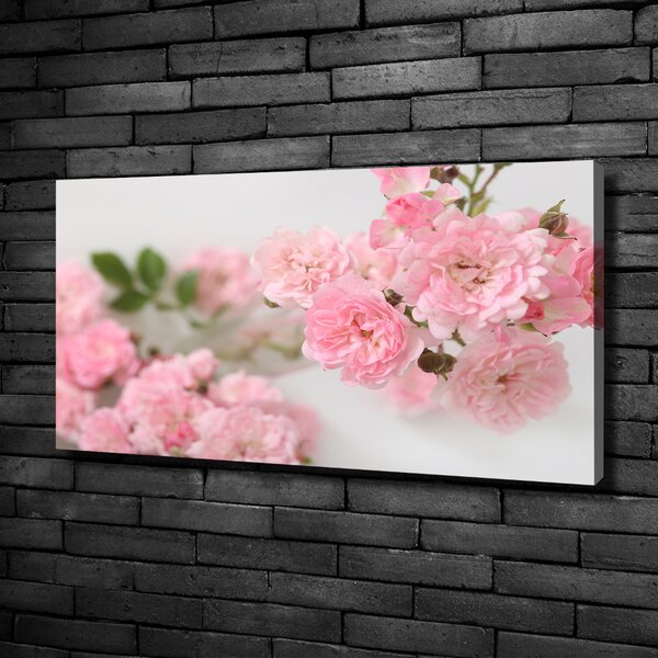 Moderní fotoobraz canvas na rámu Divoké růže oc-113333755