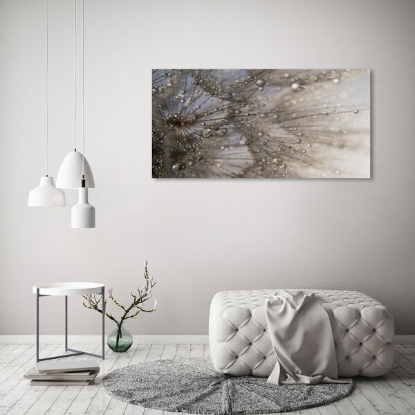 Foto obraz canvas Semeno pampelišky oc-114030264