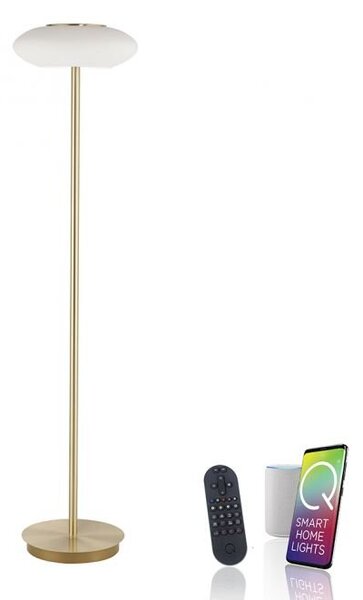 Paul Neuhaus Stojací LED lampa Q-ETIENNE 27,5W, v. 152 cm, Smart Home, CCT 2700-5000K Barva: Černá