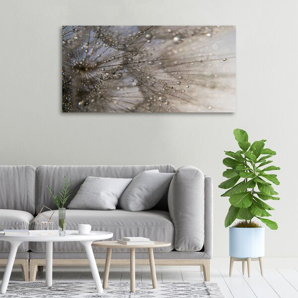 Foto obraz canvas Semeno pampelišky oc-114030264