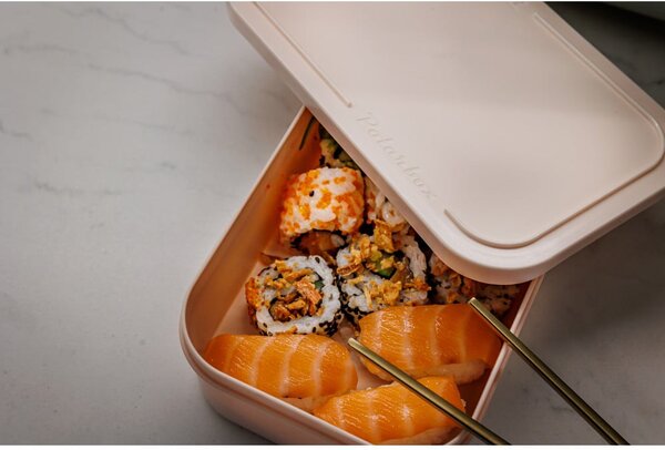 Chladicí box starorůžový 6 l Classic Gold – Polarbox
