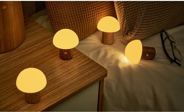 LED stmívatelná stolní lampa z jasanového dřeva v přírodní barvě (výška 7 cm) Alice – Gingko