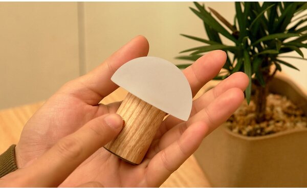 LED stmívatelná stolní lampa z jasanového dřeva v přírodní barvě (výška 7 cm) Alice – Gingko