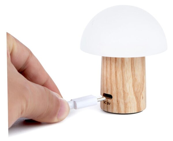 LED stmívatelná stolní lampa z jasanového dřeva v přírodní barvě (výška 7 cm) Alice – Gingko