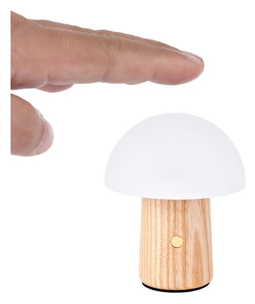 LED stmívatelná stolní lampa z jasanového dřeva v přírodní barvě (výška 7 cm) Alice – Gingko