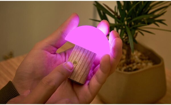 LED stmívatelná stolní lampa z jasanového dřeva v přírodní barvě (výška 7 cm) Alice – Gingko