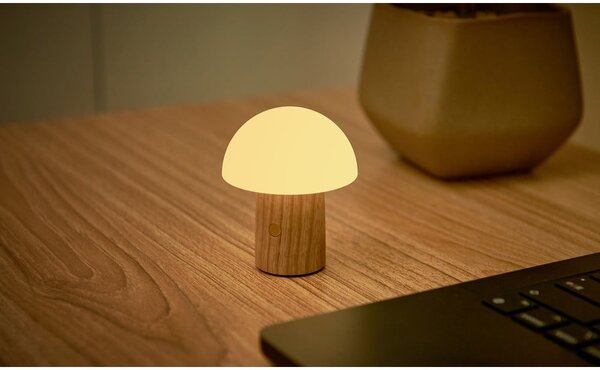 LED stmívatelná stolní lampa z jasanového dřeva v přírodní barvě (výška 7 cm) Alice – Gingko