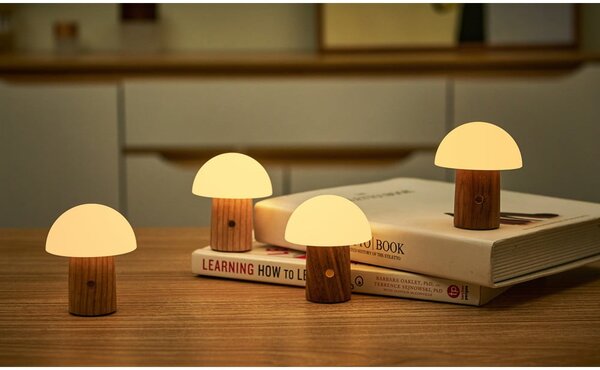 LED stmívatelná stolní lampa z jasanového dřeva v přírodní barvě (výška 7 cm) Alice – Gingko