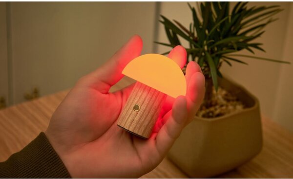 LED stmívatelná stolní lampa z jasanového dřeva v přírodní barvě (výška 7 cm) Alice – Gingko