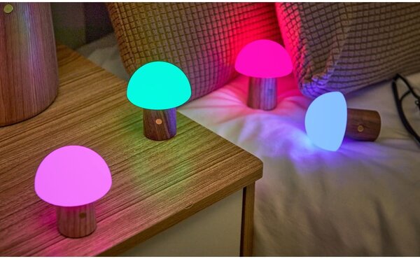 LED stmívatelná stolní lampa z jasanového dřeva v přírodní barvě (výška 7 cm) Alice – Gingko
