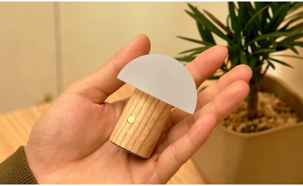LED stmívatelná stolní lampa z jasanového dřeva v přírodní barvě (výška 7 cm) Alice – Gingko